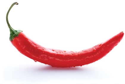 chilli pepper