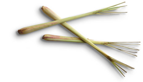 lemon grass